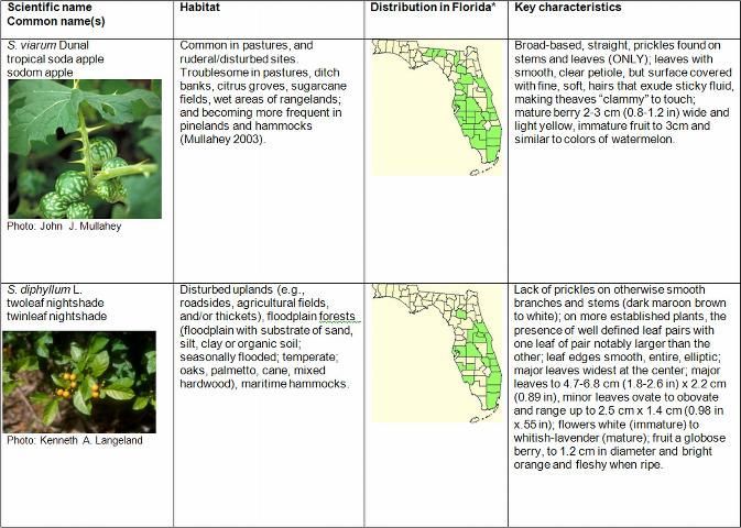 Table 11 Table 1. Identifying characteristics of FISC Category I and Category II Solanum spp. and S. capsicoides.