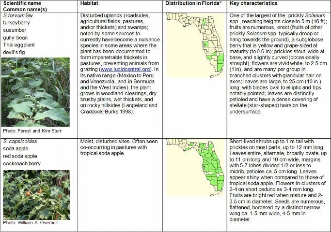 Table 13 ifying characteristics of FISC Category I and Category II Solanum spp. and S. capsicoides. (continued)