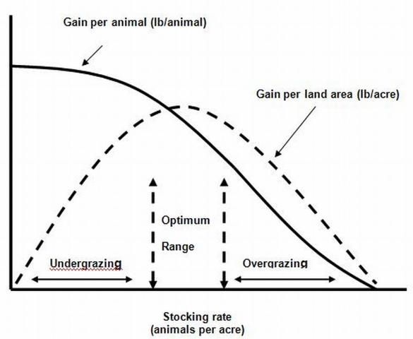 Figure 1. Effects of stocking rate on gain per animal and gain per acre.