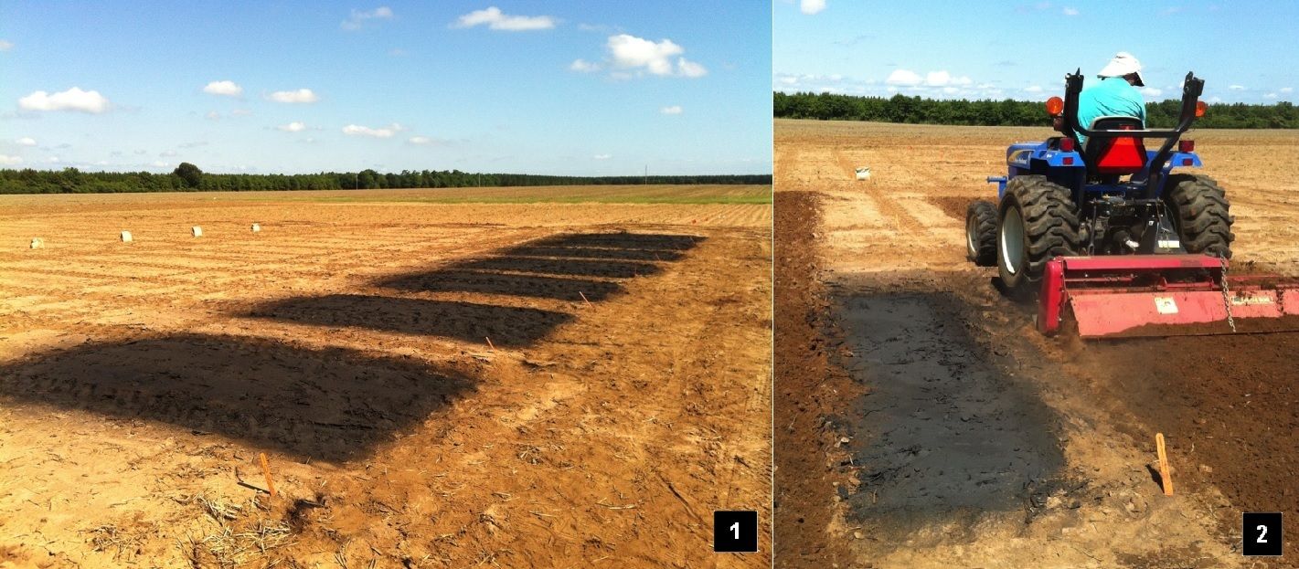 (1) Biochar application at 2 ton/acre and (2) incorporation prior to row-crop production (e.g., corn, cotton, peanut, soybean).