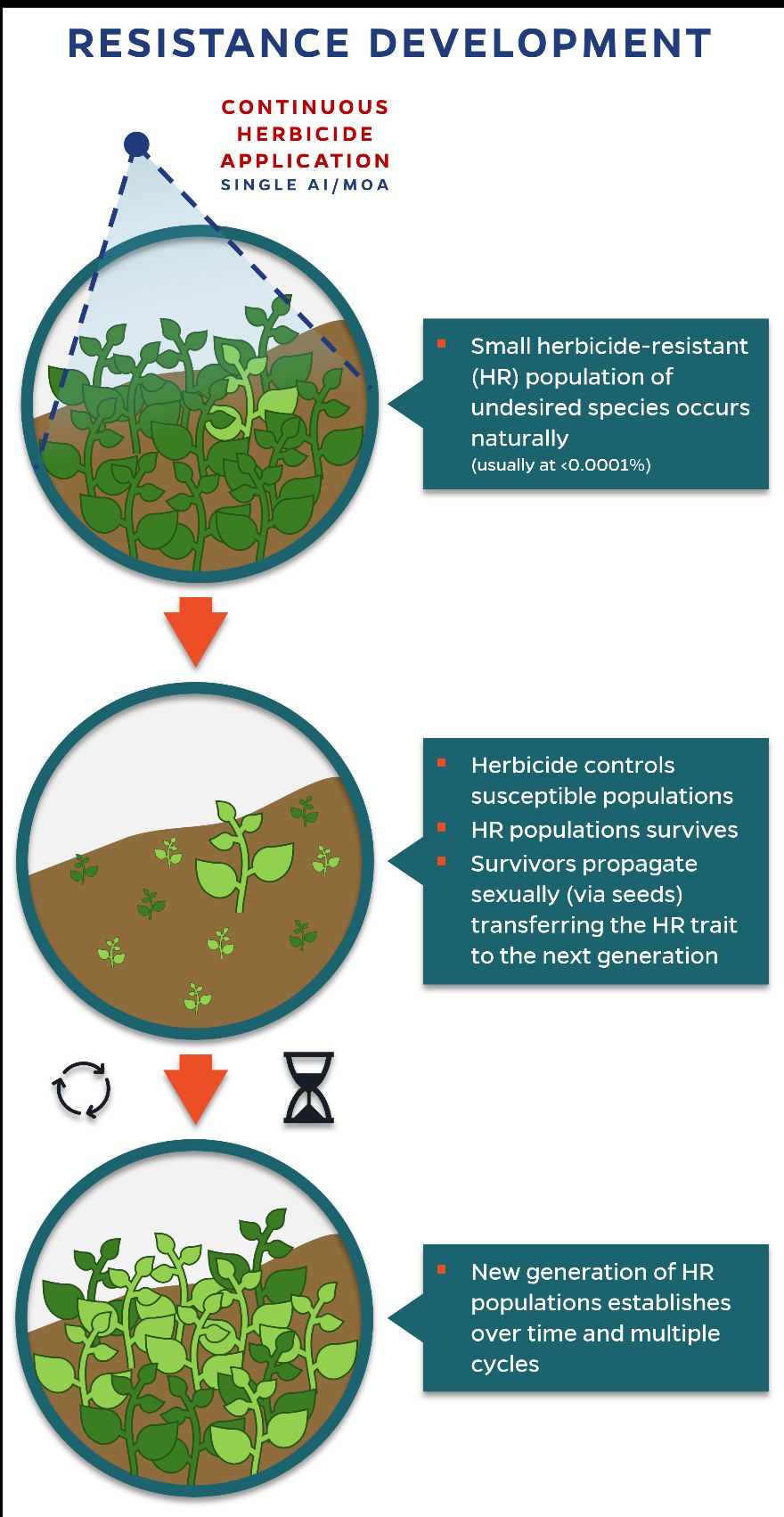 Development of herbicide resistance in weeds due to the continuous use of a single mode of action (MOA) or active ingredient (AI).