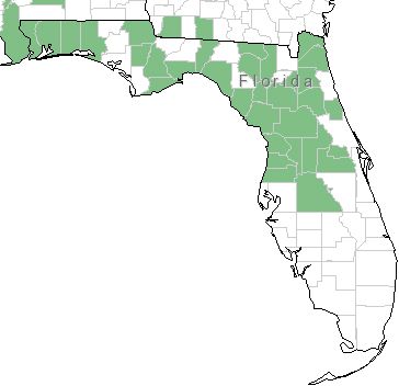 Figure 3. Distribution of cardinal flower in Florida.