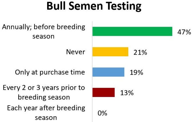 How often bulls are semen tested. 