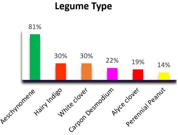 Types of legumes. 
