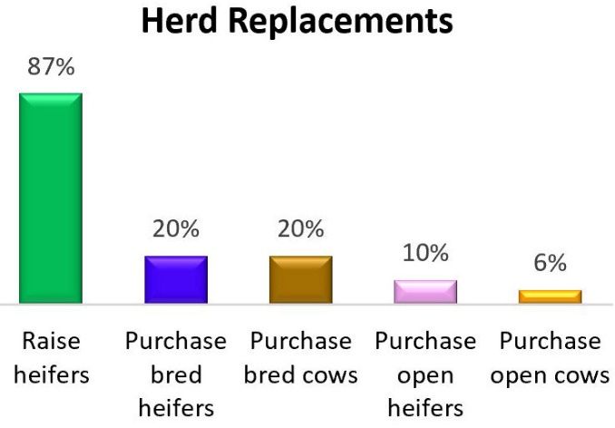 Methods of obtaining herd replacements. 