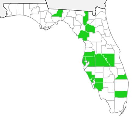 Figure 2. Distribution of East Indian hygrophila in Florida.