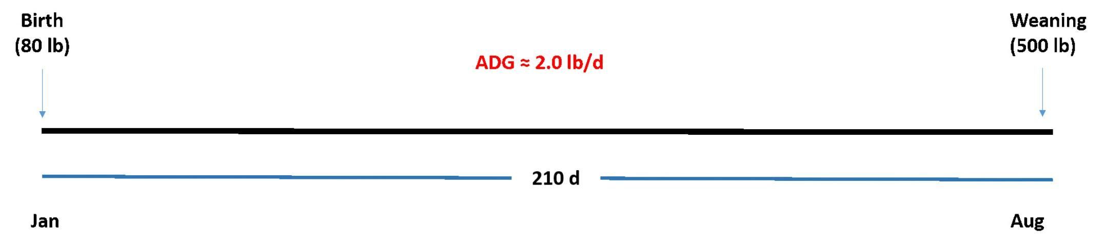 Roadmap from birth to weaning.