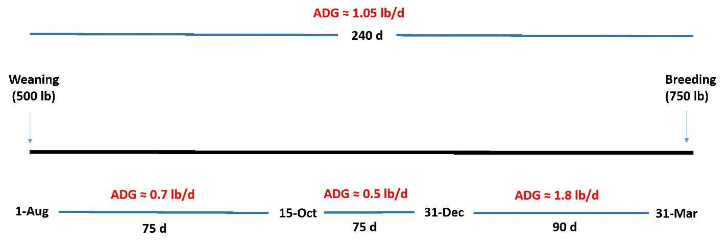 Roadmap from weaning to breeding.