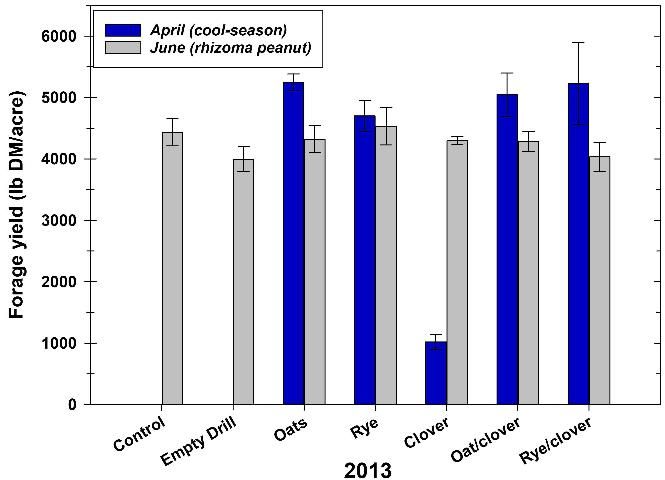 Figure 1. Cool-season forage yields in April 2013 (blue bars) and rhizoma peanut yields in June 2013 (gray bars).
