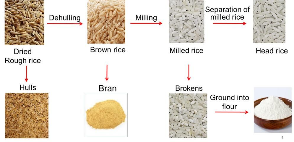 Figure 3. Steps in the postharvest processing of rice.