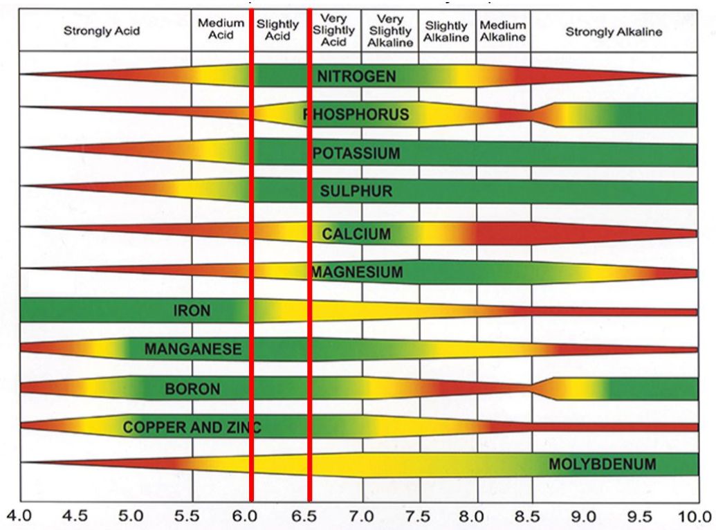 Soil pH affecting nutrient availability in the soil. 