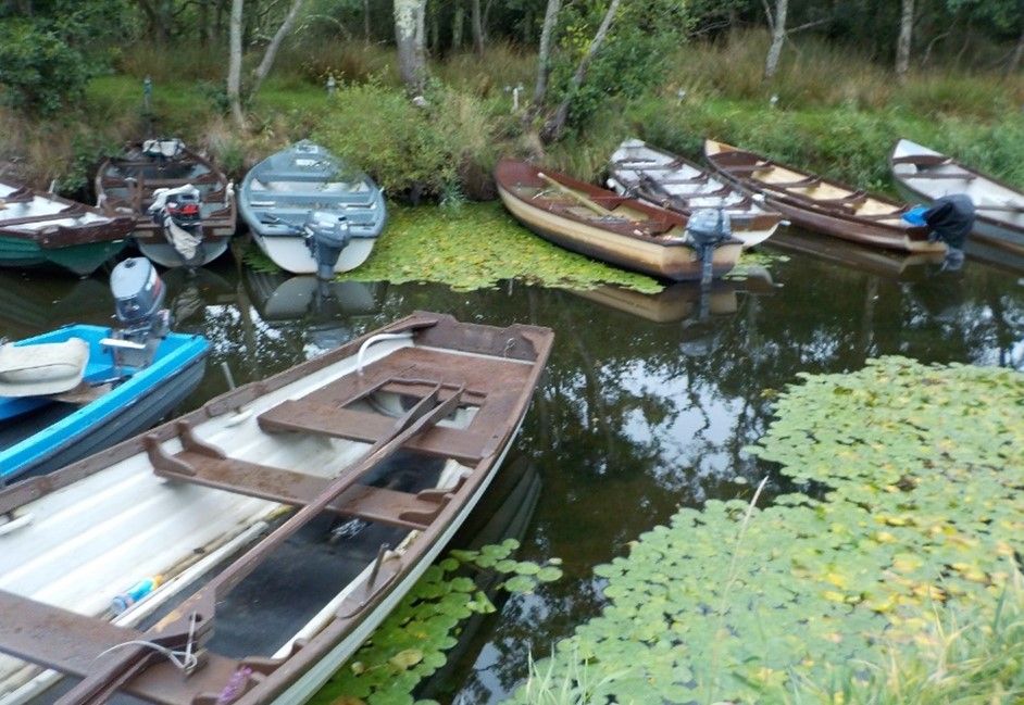 Yellow floatingheart infestation in Ireland. 