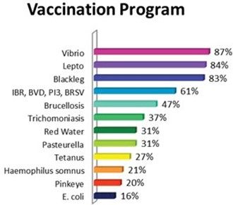 Diseases in cows that producers vaccinated against.