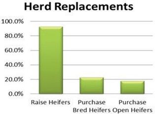 Methods of obtaining herd replacements.