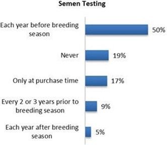 Frequency of semen testing for bulls.