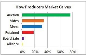 Calf marketing methods.