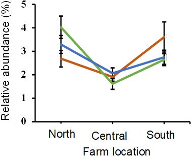 The effect of RPP integration on the relative abundance of arbuscular mycorrhizal fungi (Glomeromycota) at the three pasture locations. 