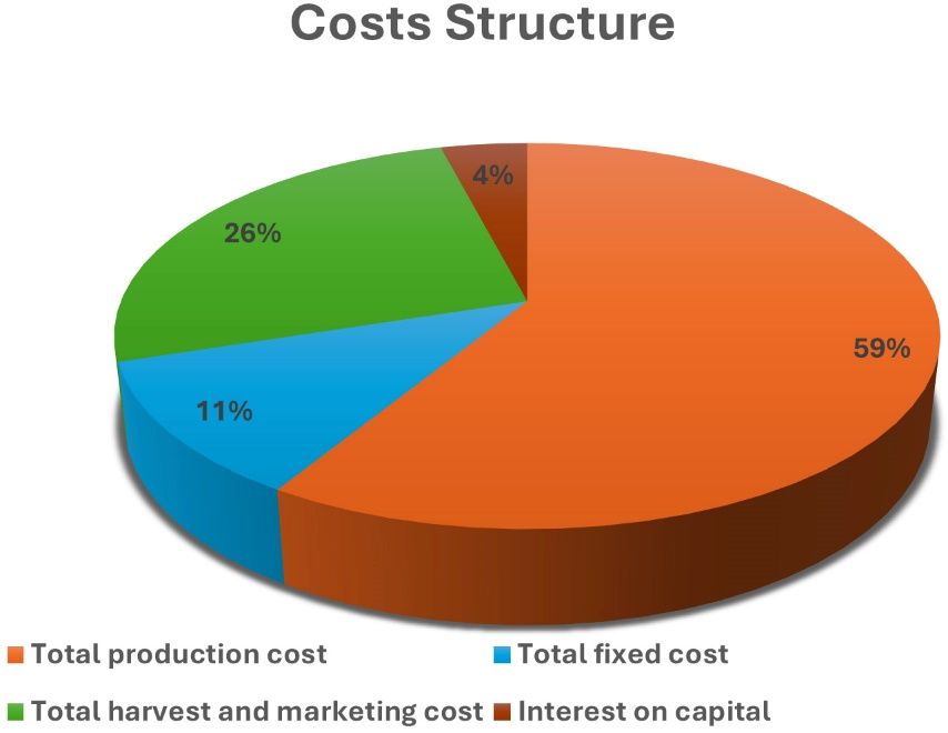 A pie chart with different colored sections

Description automatically generated