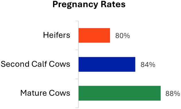 A graph showing different colored squares

AI-generated content may be incorrect.