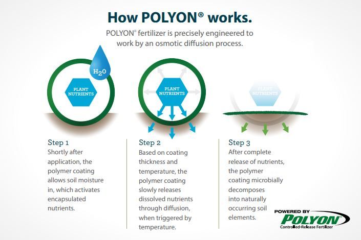 Steps of nutrient release mechanism in an example controlled-release fertilizer. Text reads: "How POLYON® works. POLYON® fertilizer is precisely engineered to work by an osmotic diffusion process. Step 1: Shortly after the application, the polymer coating allows soil moisture in, which activates encapsulated nutrients. Step 2: Based on coating thickness and temperature, the polymer coating slowly releases dissolved nutrients through diffusion, when triggered by temperature. Step 3: After complete release of nutrients, the polymer coating microbially decomposes into naturally occurring soil elements."