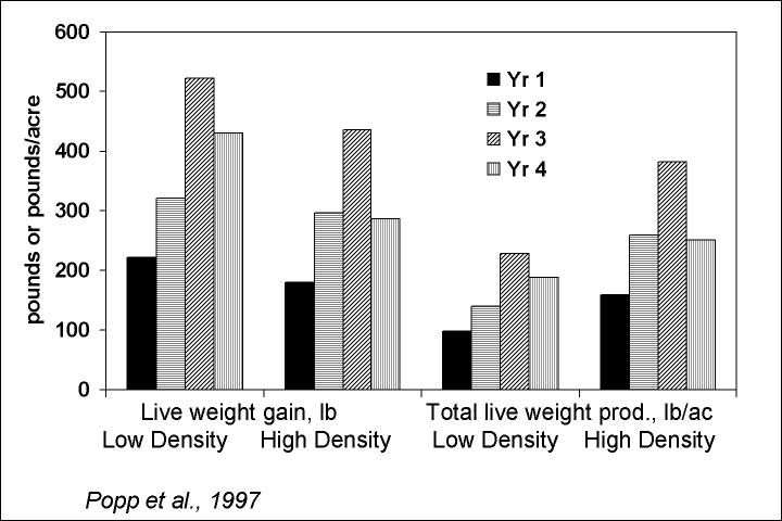 Figure 3. Effect of stocking density on beef steer production.