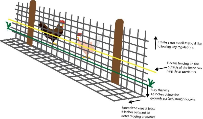 Figure 4. Bury fencing to prevent burrowing predators.