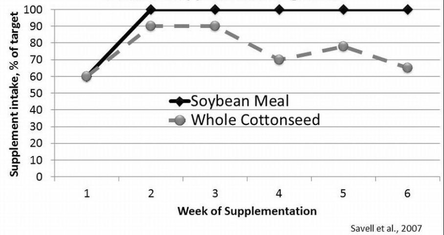 Figure 1. Supplement intake of soybean meal and whole cottonseed by preconditioning steers.