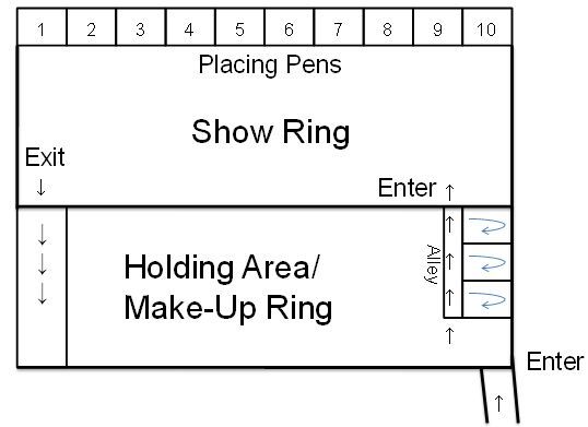 Figure 1. Ideal show ring set-up for a swine show for youth.