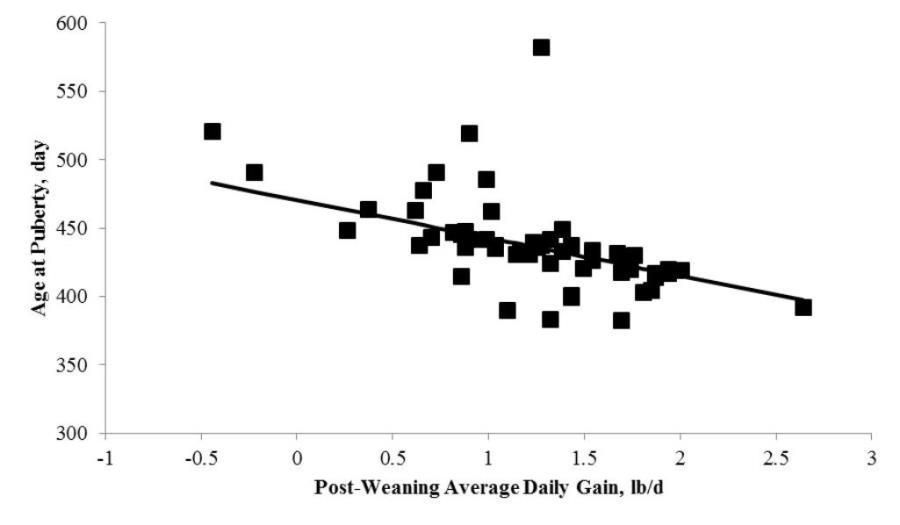 Relationship between age at puberty and post-weaning ADG in replacement beef heifers of Bos taurus, Bos indicus, and Bos taurus × Bos indicus breeding. Age = 470.55 ± 22.31 – 27.72 ± 5.62 × ADG; R2 = 0.34; P < 0.01.