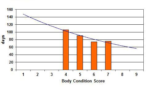 Figure 7. Relationship of cow body condition score to cow postpartum interval.