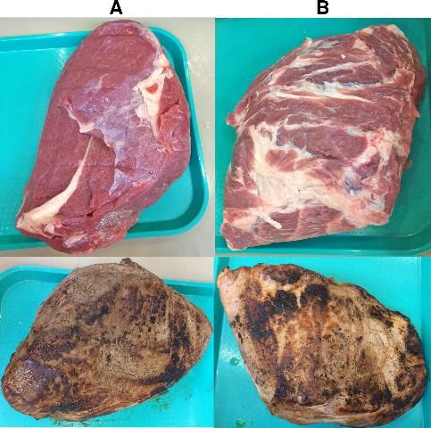 Figure 1. Image of trimmed beef clod hearts (A) and pork cellar trimmed (CT) butts (B) prior to browning (top panel) and after removing from the vacuum-sealed bag at the end of cooking (bottom panel).