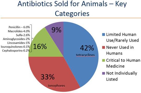 Figure 1. Key animal antibiotics categories.