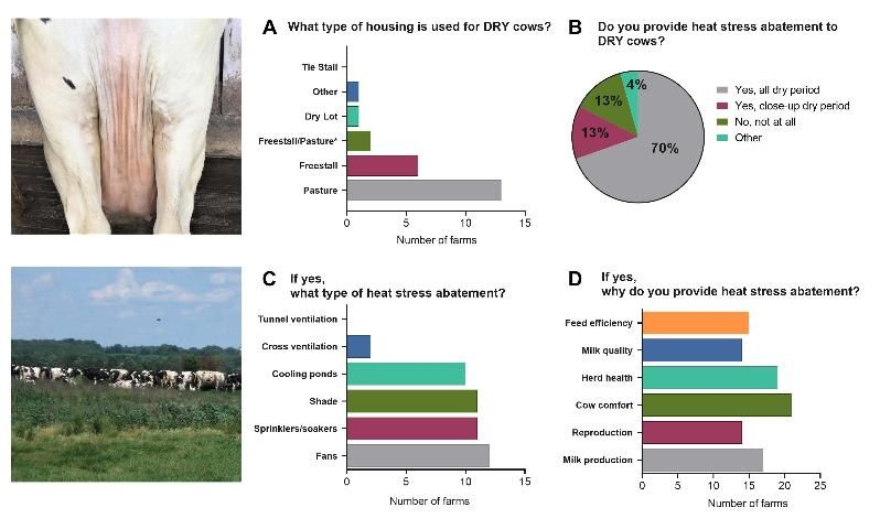 Figure 1. Management strategies for dry dairy cows in Florida. Summary of (A) type of housing, (B) application of heat stress abatement, (C) types of abatement, and (D) reasons for applying abatement. Top image: a dry cow freestall. Bottom image: pasture housing.