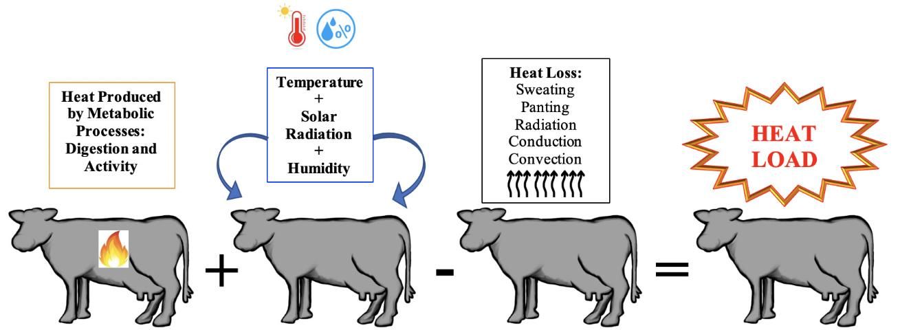 Figure 1. A common index used to evaluate heat stress in dairy cows is the Temperature Humidity Index or THI, which is calculated based on ambient temperature and relative humidity.