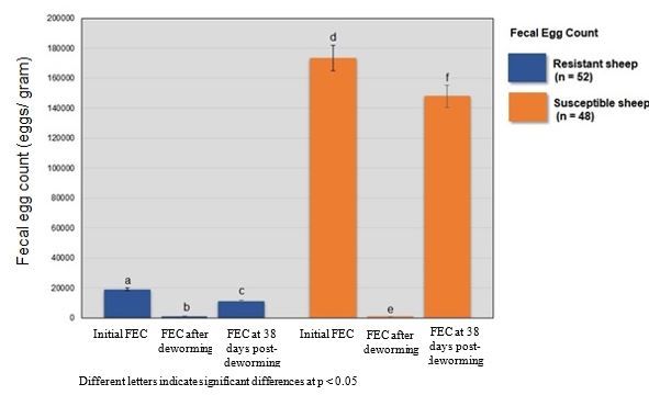 Figure 3. Fecal egg count performance between resistant and susceptible Florida Native sheep.