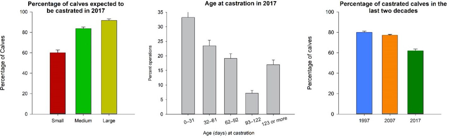 Left: Percentage of calves expected to be castrated in small, medium, and large operations in 2017. Center: Age at castration in 2017. Right: Percentage of calves expected to be castrated in the US in 1997, 2007, and 2017. 