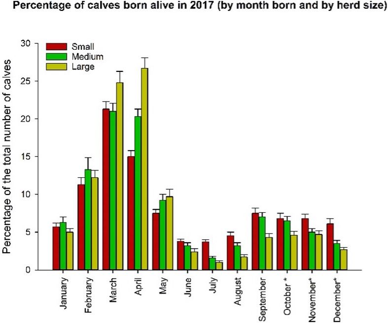 Percentage of calves born alive in 2017 distributed by month born and by herd size. *Indicates born alive or expected to be born alive. 