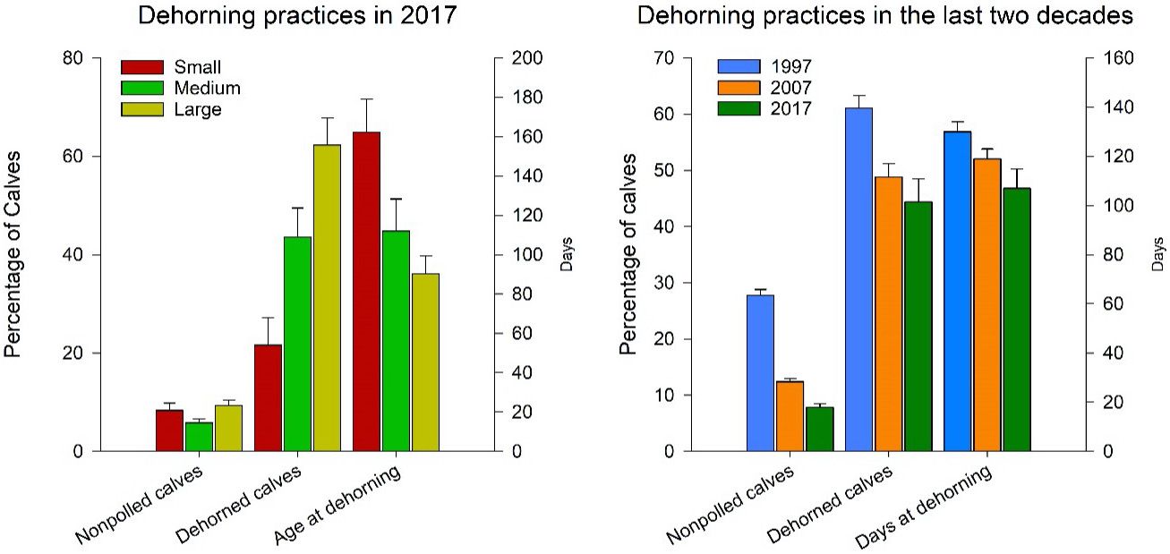 Left: Dehorning practices among small, medium, and large operations in 2017. Right: Dehorning practices among small, medium, and large operations in the last two decades. 