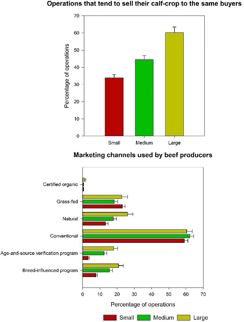 Top: Percentage of operations that tended to sell their calf-crop to the same buyers every year. Bottom: Marketing channels used by the operation to commercialize their calf-crop. 