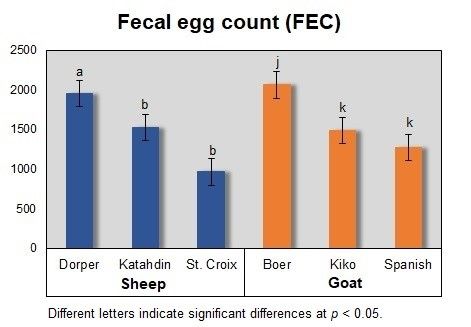 Bar graph of fecal egg count in sheep and goats during H. contortus infection. 