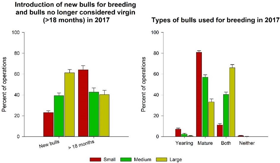 Overall introduction of new bulls, and introduction of bulls no longer considered virgin in 2017 (left panel), and types of bulls used for breeding in 2017 (right panel) for small, medium, and large operations. 