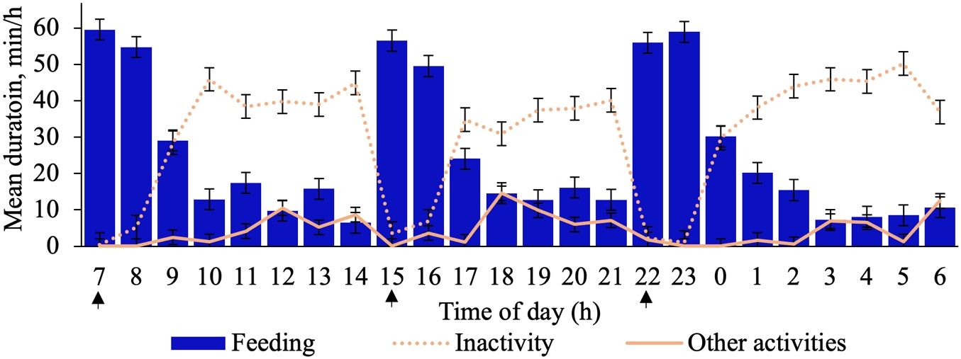 Effect of time of day (P < 0.0001) on mean duration (min/h) of feeding, inactivity, and other activities across a 24-hour time budget of horses fed hay-only diets. Arrows represent when meals were offered (Vasco et al. 2022). 