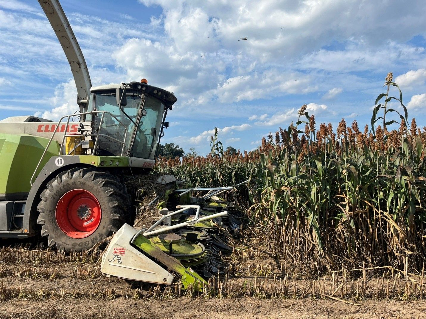 A tractor in a field

Description automatically generated