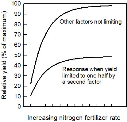 Curve for when yield limited to one-half by a second factor begins around 10% relative yield and nitrogen fertilizer rate increases up to around 40% yield; curve for other factors not limiting begins a little over 20% relative yield and nitrogen rate increase up to almost 100% yield.