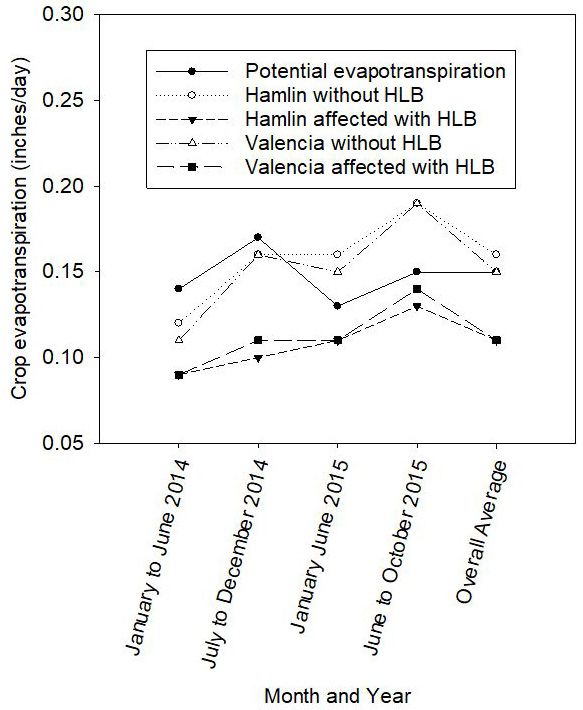 Water use of HLB-affected trees in southwest Florida under greenhouse conditions.