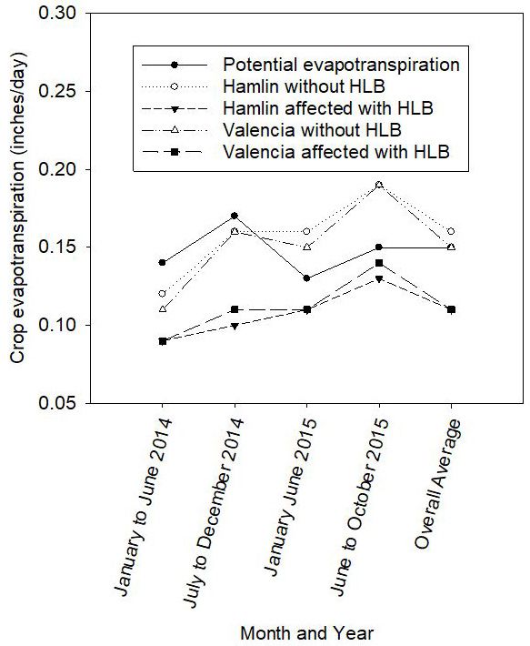 Line graph with varying data spanning from January 2014 to October 2015 that shows the evapotranspiration in inches of hamlin and valencia oranges with or without HLB, showing how those unaffected were able to participate in evapotranspiration at a higher rate than the affected.