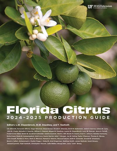 Figure 1. The cover of the 2020–2021 Florida Citrus Production Guide.