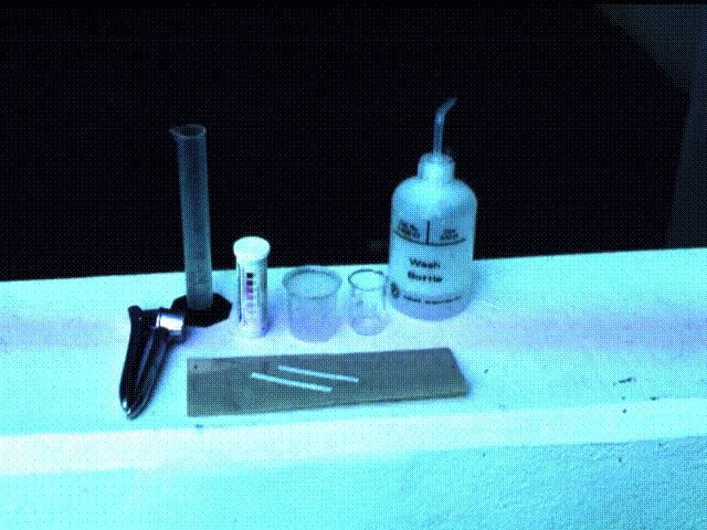 Testing petiole-sap using the MQuant strip test method.