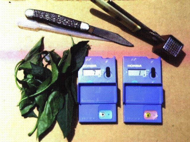 Cardy meters for Nitrate-N and K testing with samples.