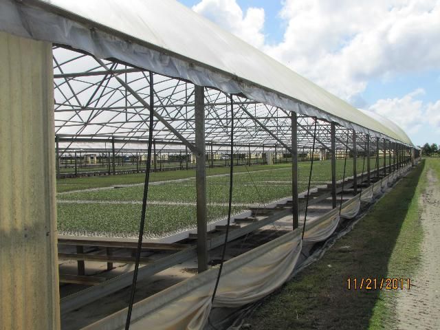 Figure 4. Movable sidewalls (curtains) can be opened to allow cross ventilation or closed to conserve heat and provide protection from wind and rain.